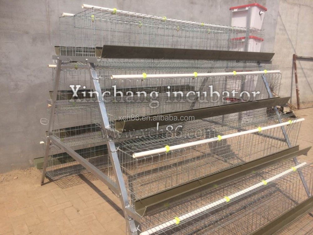 4 layers chicken cage 3.jpg