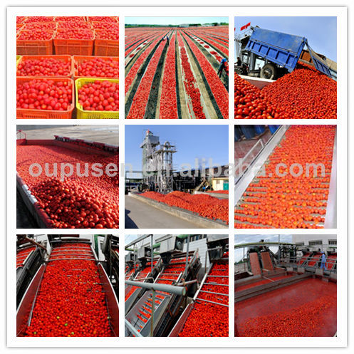 Best Offer from best tomato paste production line