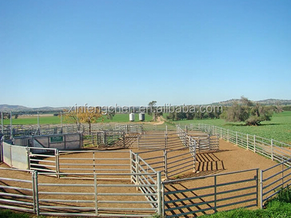 sheep panel