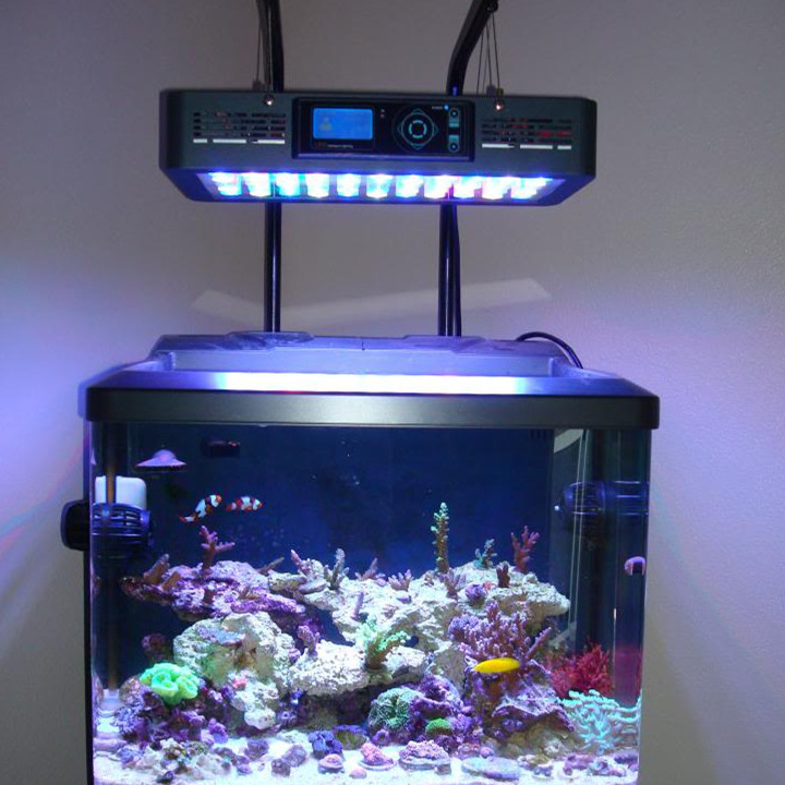 2040-aquarium light grow reef