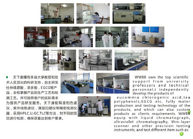 40% Tea Polyphenols for healthy or drinking black tea extract powder