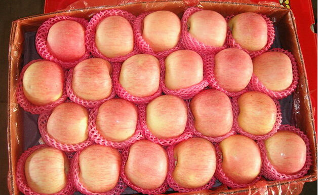 Fresh Red FuJi Apple