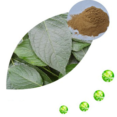 40% Tea Polyphenols for healthy or drinking black tea extract powder