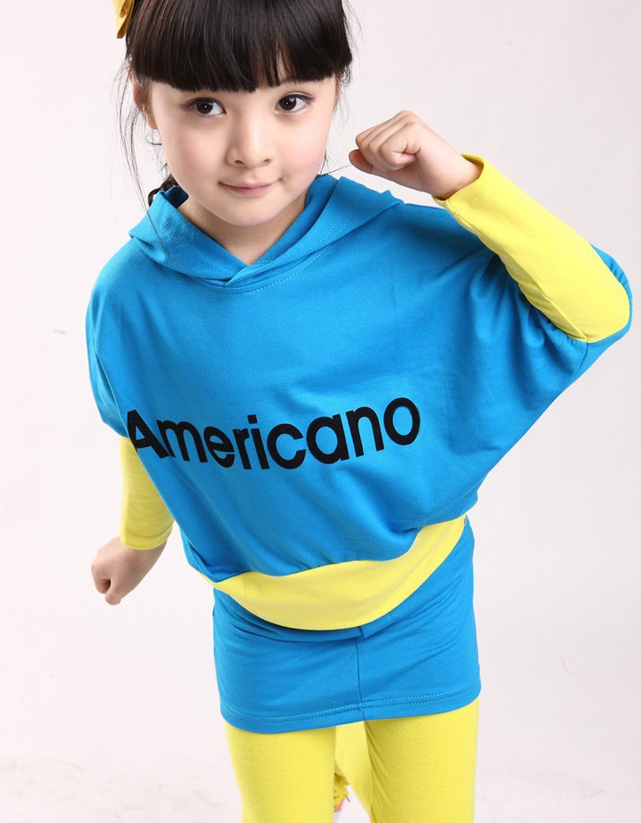 新しい女の子のパーカーのドレス2015空白カスタムptint自分のロゴのあるあなたのデザインパーカー仕入れ・メーカー・工場