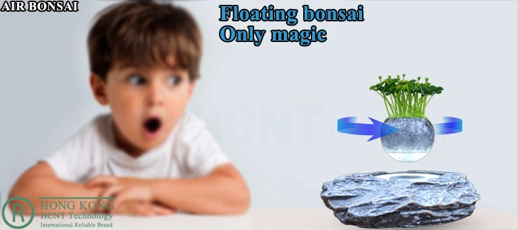 Floating bonsai fly flowerpot HCNT patent floating system (7).jpg