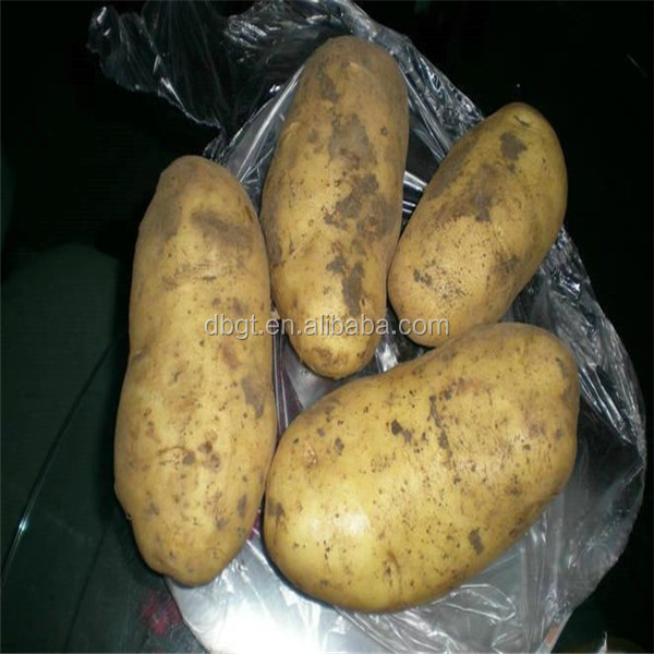 2014 Shaanxi new crop Fresh Potato in Various Package