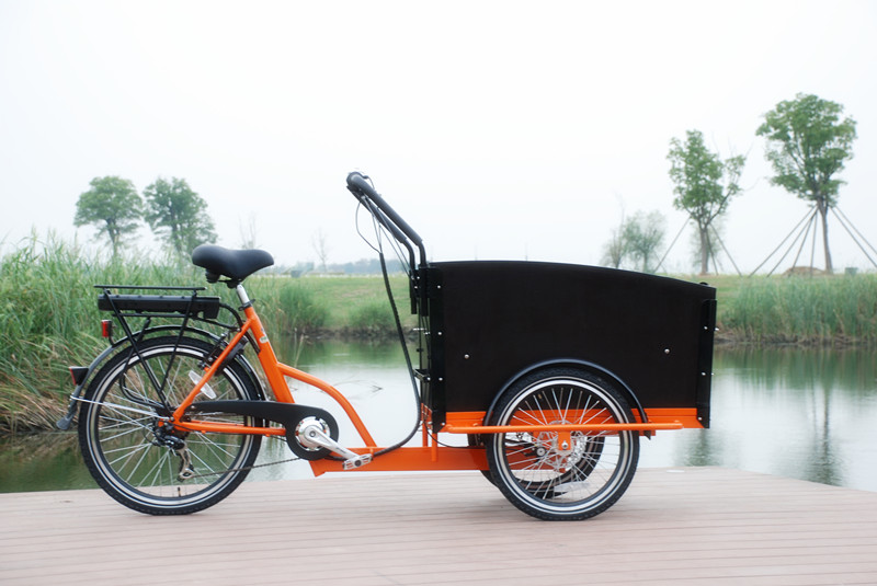 250w Adult Used Cargo Bikes/electric Cargo Bikes For Sale Bakfiets