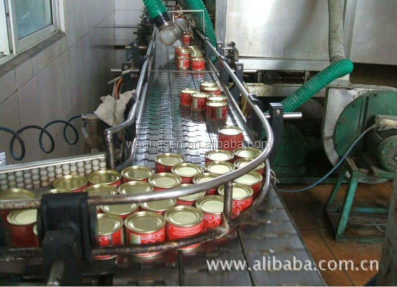 kosher food companies 800g canned tomato sauce supplier in china with good quality