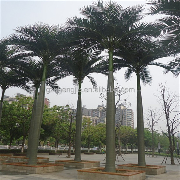 SJAZZY14803 decorative coconut tree , indoor & outdoor artificial coconut tree (bent trunk )