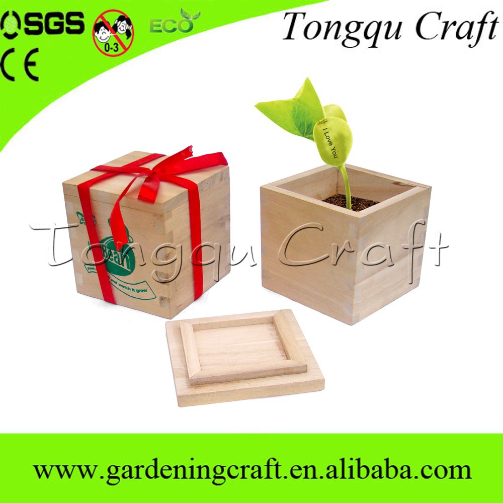 High Quality wood craft cheap creative box magic bean with words