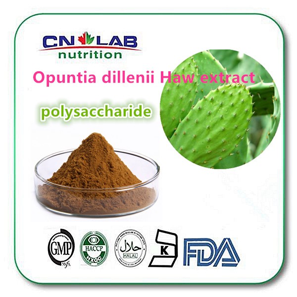 Opuntia Dillenii Haw/cactus Extract/prickly Pear Extract Polysaccharide
