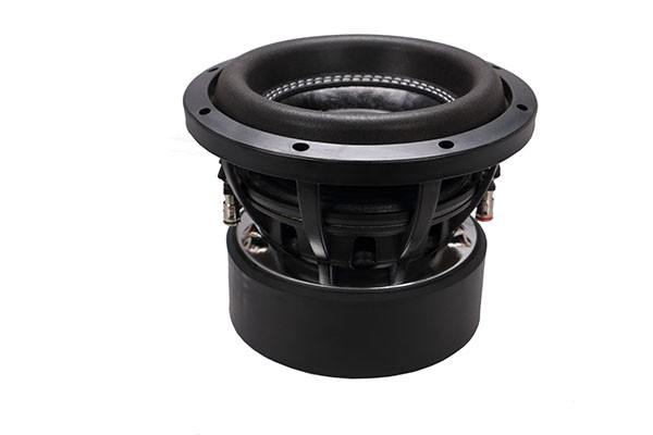 8 inch car subwoofer.JPG