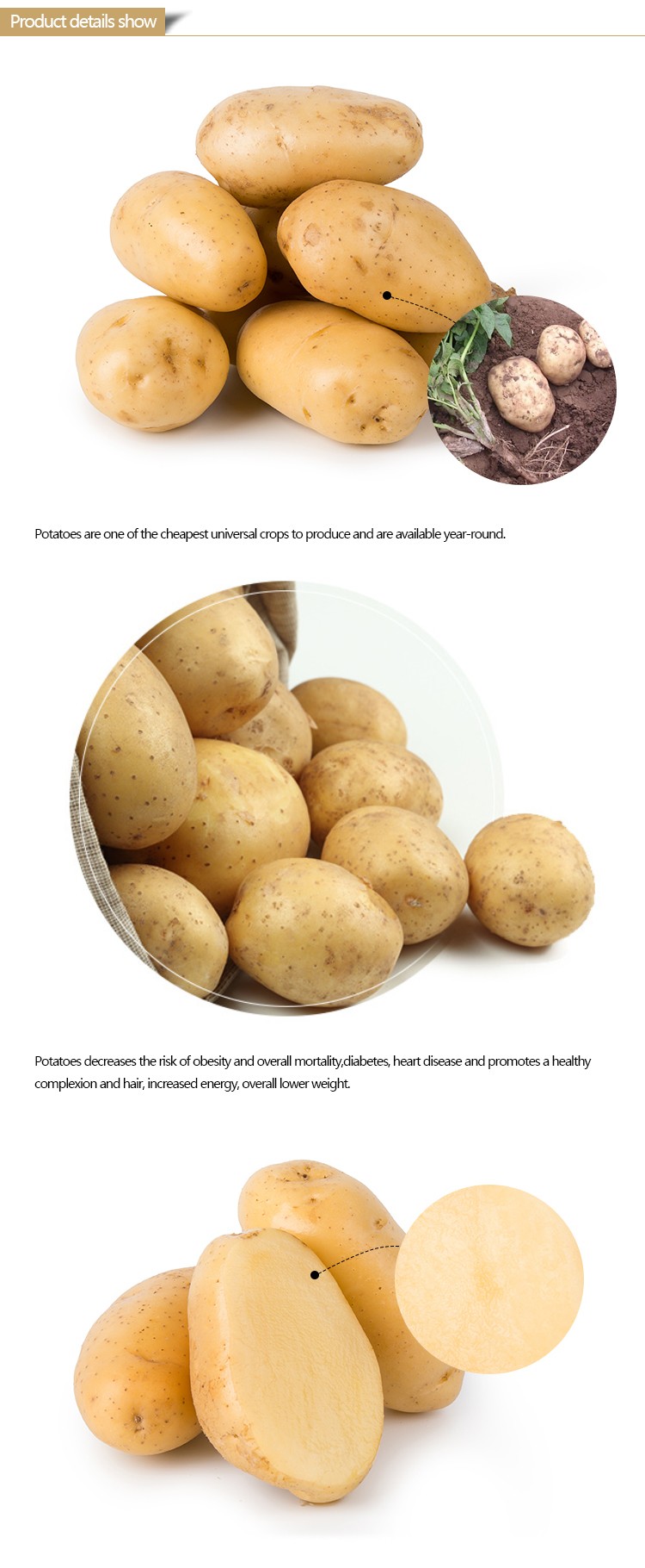 Potato-_03.jpg
