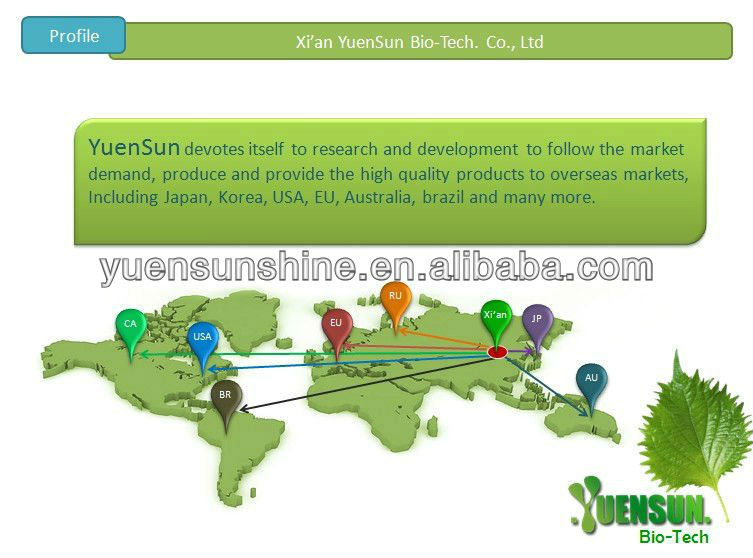 GMP green tea extraction polyphenols powder