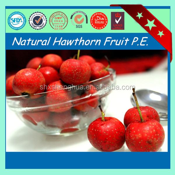 2014 free sample new arrival GMP factory supply Hawthorn Fruit P.E powder