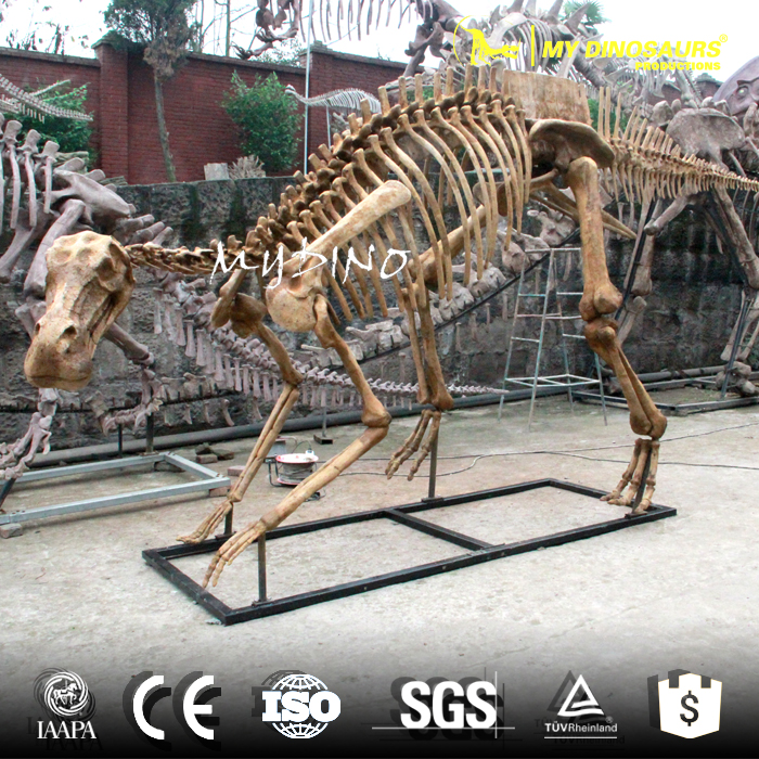 maiasaura skeleton2.jpg