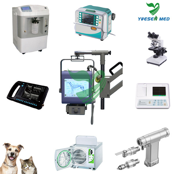 Top Sale Top Quality Low Price Medical Equipment For Veterinary Buy