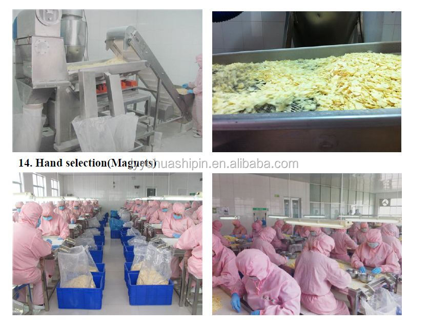 Garlic powder different mesh export to Japan