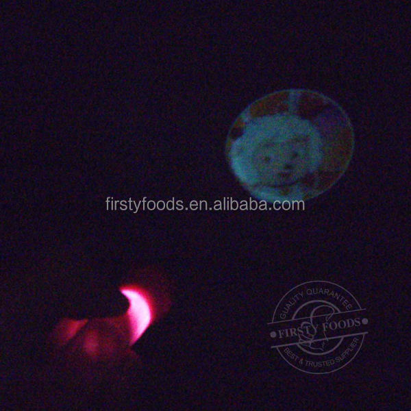 Projection Flashlight Candy