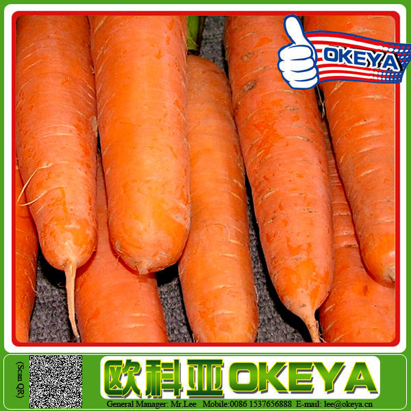 2014 wholesale newest arrival carrot crusher