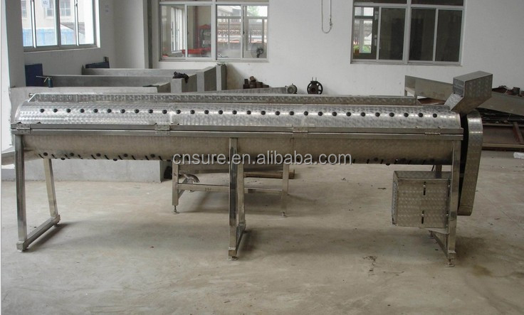 Chicken&Duck&Bird Peeling Machine/Paw Peeling Machine/Poultry Peeling Machine
