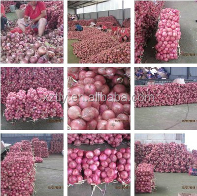 Fresh red onion grade A
