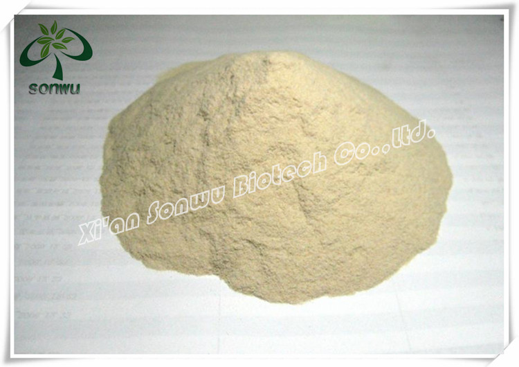 Organic white tea extract powder
