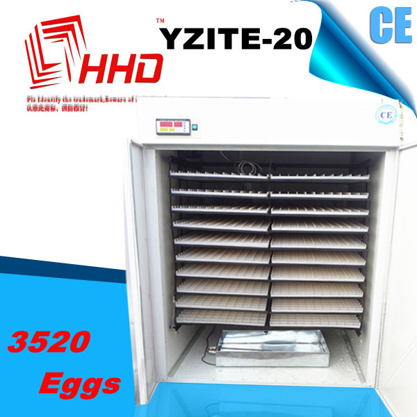  -20 chicken egg incubator chickens for sale in philippines with CE