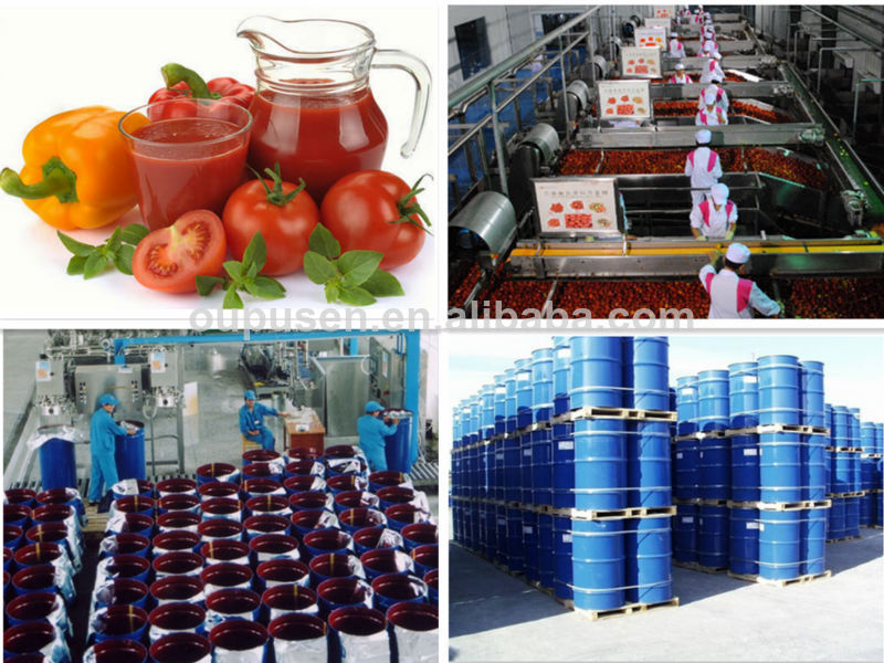 Best Tomato Sauce in drum 2014 New Corp tomato sauce