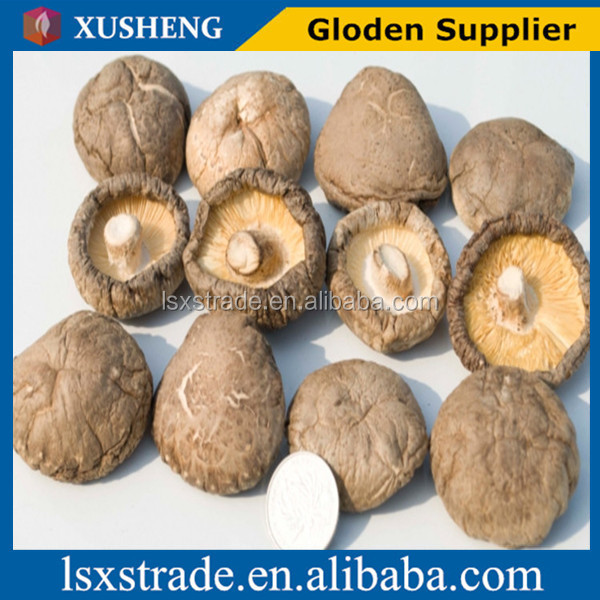 Dried shiitake mushroom Wild mushroom Fresh mushrooms dry mushrooms Wholesale(B)