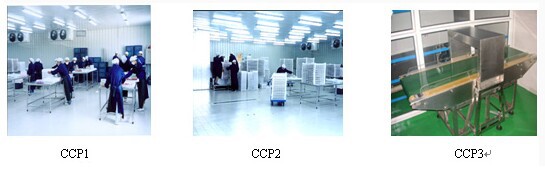haccp frozen raspberry china