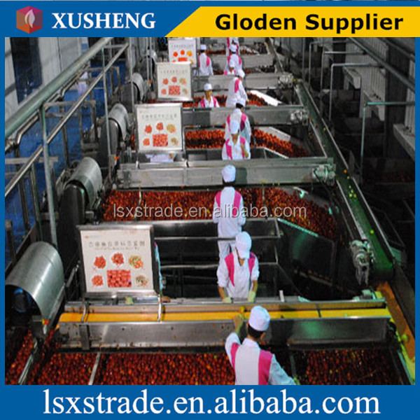 tomato paste factory with competitive price (B)