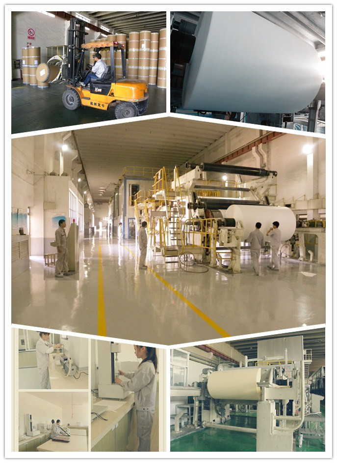 カラー印刷原紙2015ds-3013クリームのモデル仕入れ・メーカー・工場