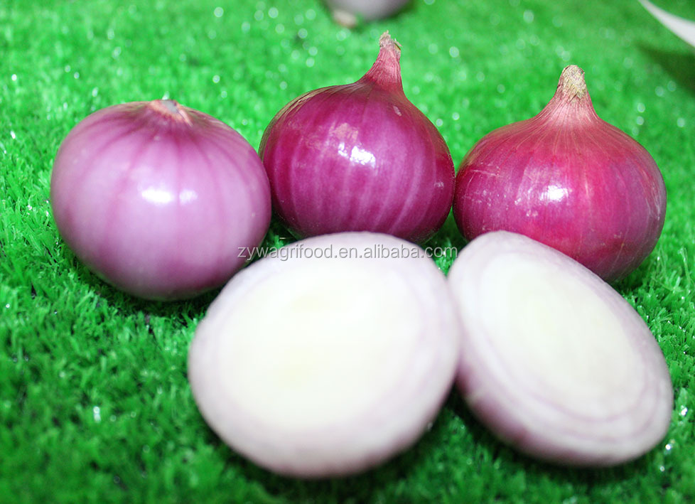 2014 fresh red onion china wholesale new corp