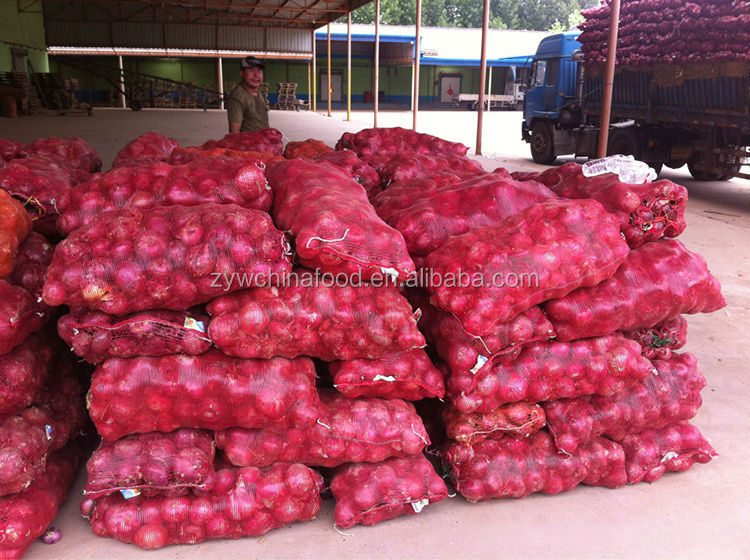 2014 Fresh Onion Red Onion From Shandong High Quality Hot Export
