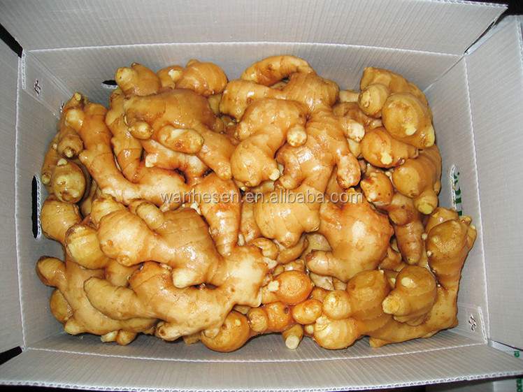 2014 High Quality New Crop Fresh ginger export For UK,CANADA,USA and EU Market 1kg fresh ginger pric