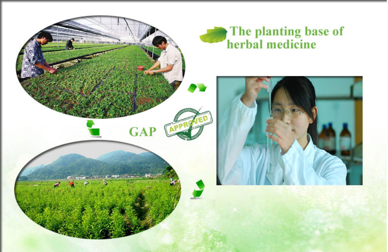 aloe vera dry extract,aloe vera extract aloin,aloe vera extract aloin