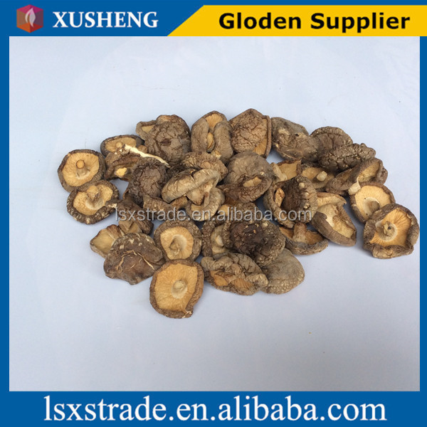 canned shiitake mushrooms(B)