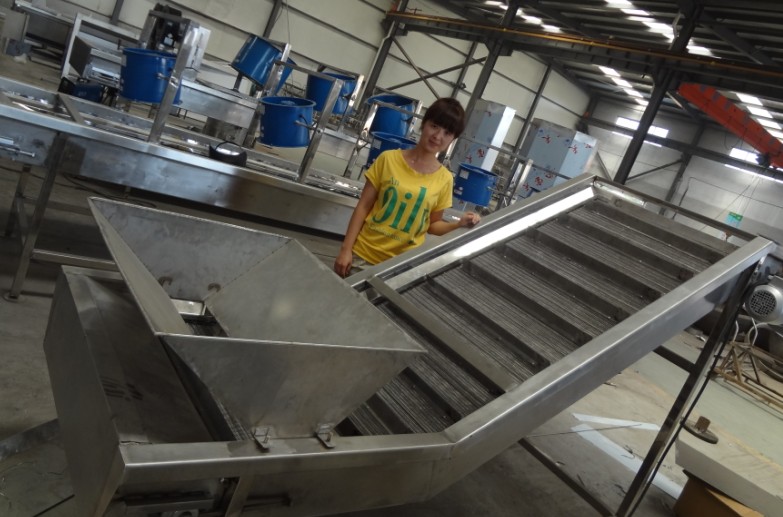 Potato Chips Making Machine and Production Line ( CE / ISO - skype:cathyli66 )