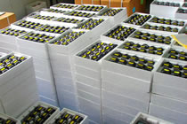 1.8degree 2phase nema23 stepping motor reducer 57HS41-1006仕入れ・メーカー・工場