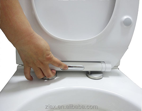detachable toilet seat
