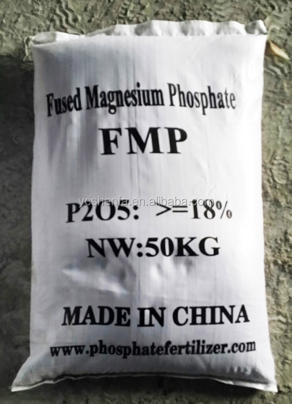 FMP-06.jpg
