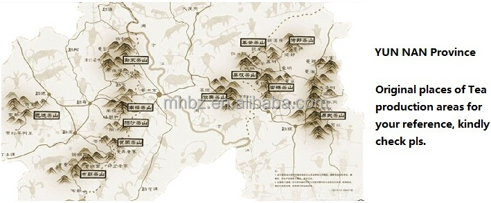 Dark puerh teas in block type