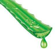 M-Houssy aloe vera drinks soft drink bottles