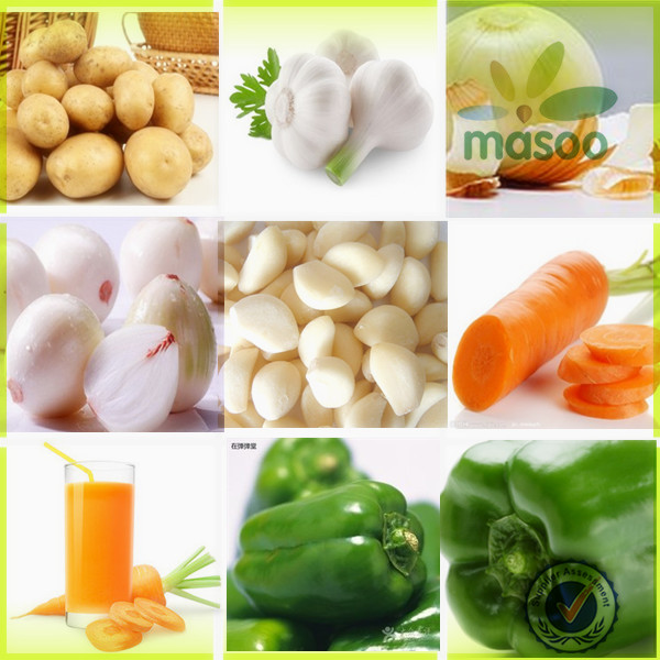 wholesale fresh onion /nutrientional china origin 2014 new fresh white onion exporter in China