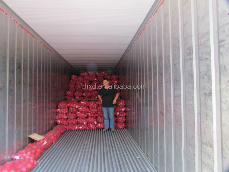 2014 new crop onion seeds for sale