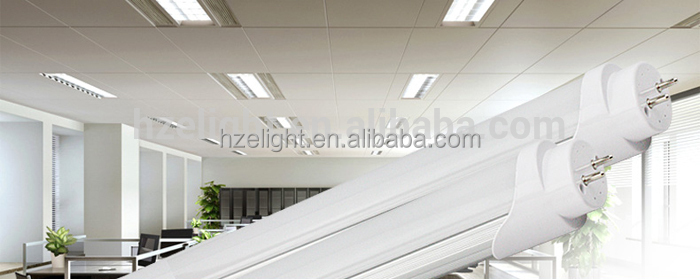 aylight White High Quality Hot T8 Led Tube 77