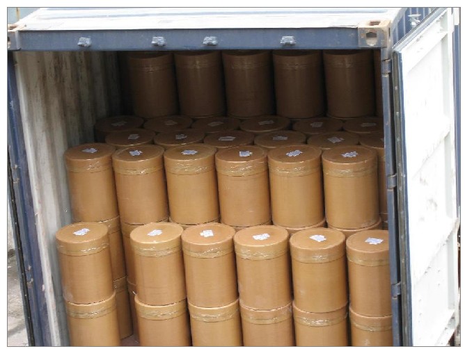 Export ganoderma lucidum canned whole button mushroom to oman