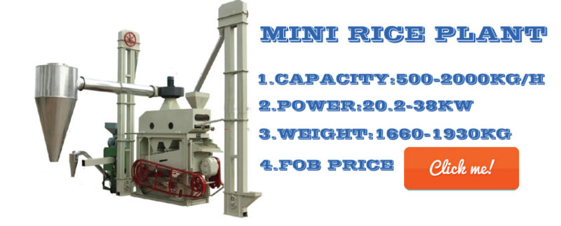MNMLt series vertical type rice machine with iron roller