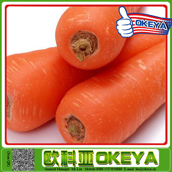2014 wholesale newest arrival black carrot seeds